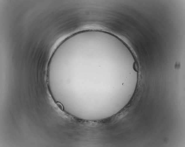 X0000115000815200911161535