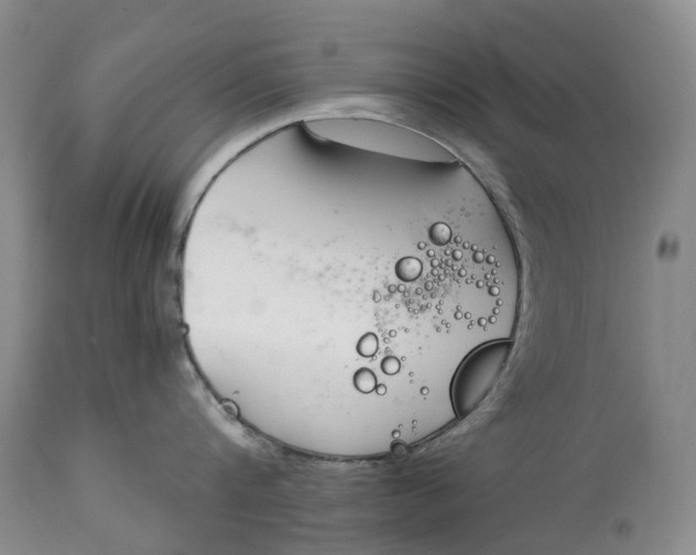 X0000115000816200911161535