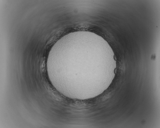 X0000115000818200911161535