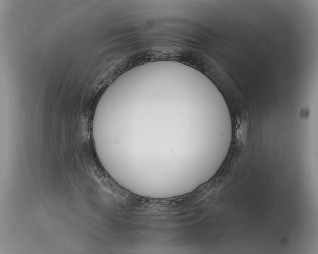 X0000115000819200911161535