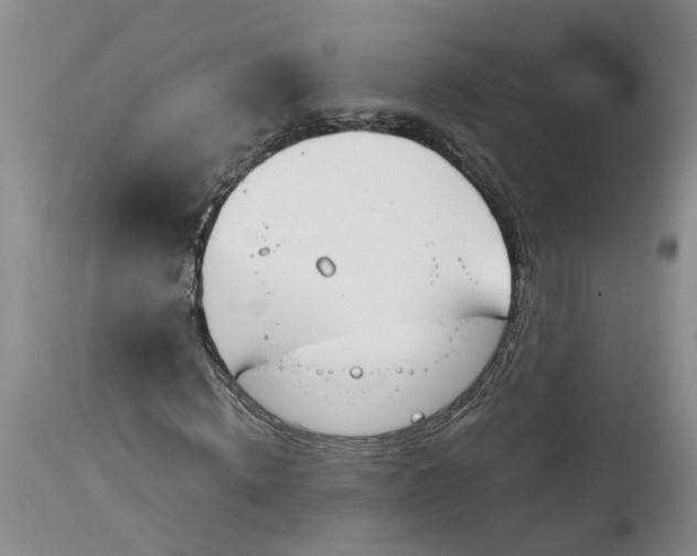 X0000115000820200911161535