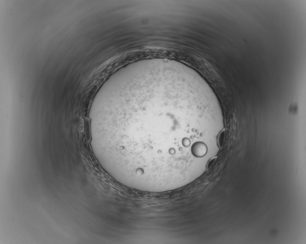 X0000115000821200911161535