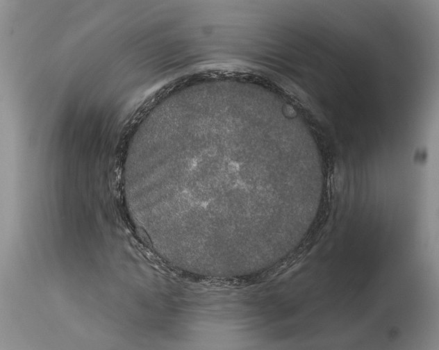 X0000115000822200911161535