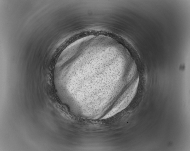 X0000115000823200911161535