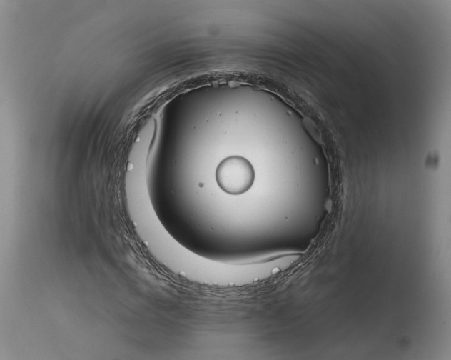 X0000115000824200911161535