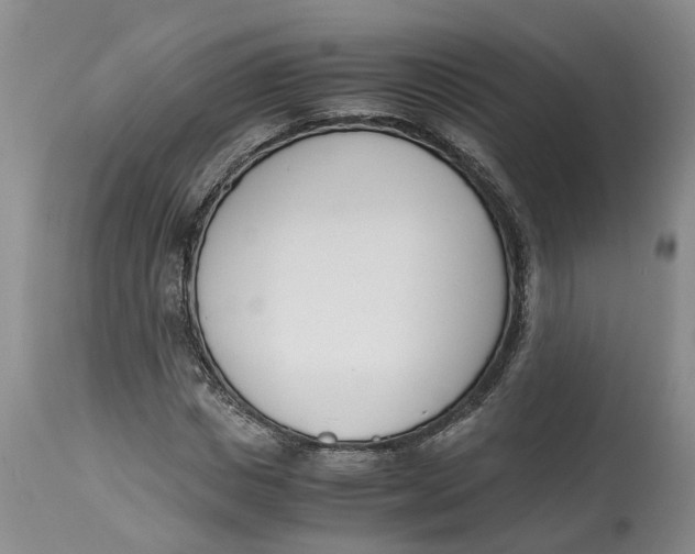 X0000115000825200911161535