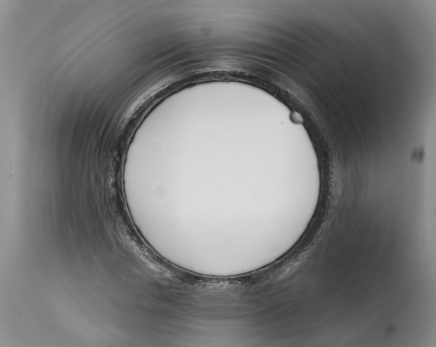 X0000115000826200911161535