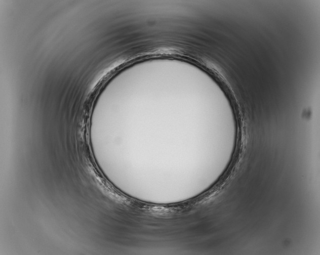 X0000115000827200911161535