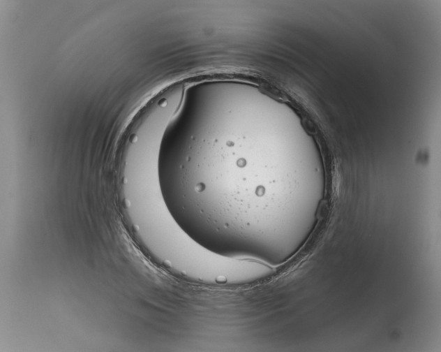 X0000115000828200911161535