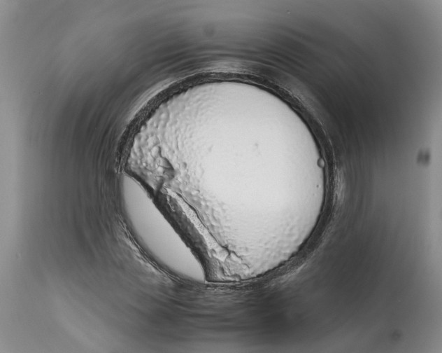 X0000115000829200911161535