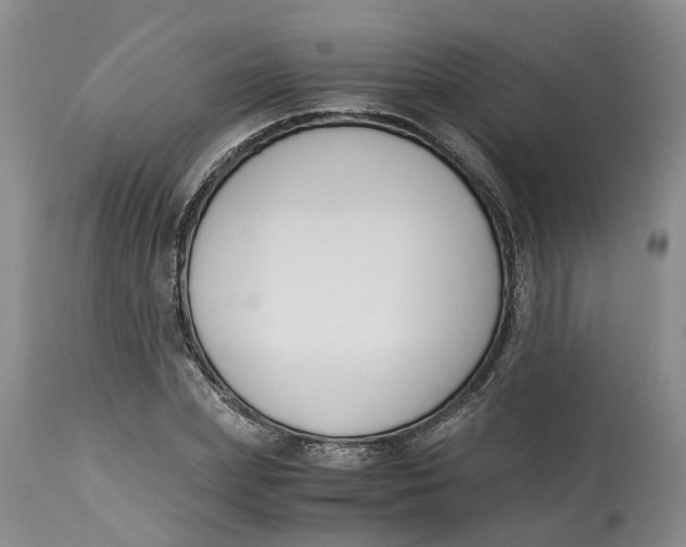 X0000115000831200911161535