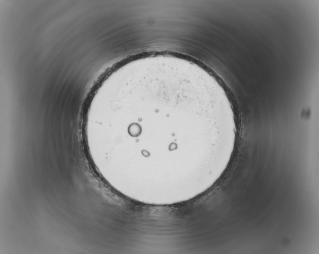 X0000115000832200911161535