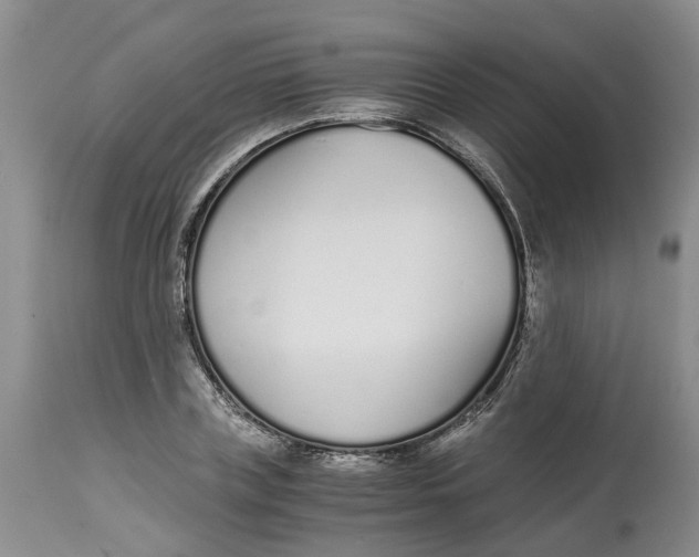 X0000115000835200911161535