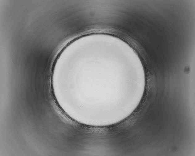 X0000115000836200911161535