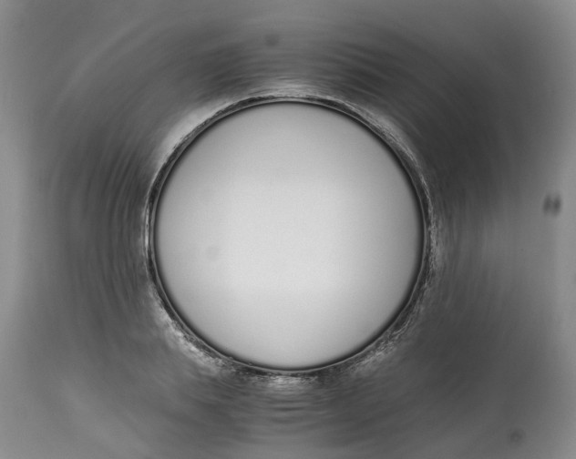 X0000115000839200911161535