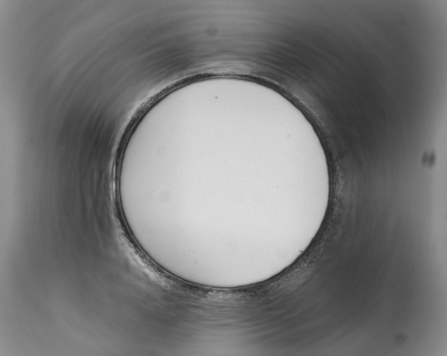 X0000115000840200911161535