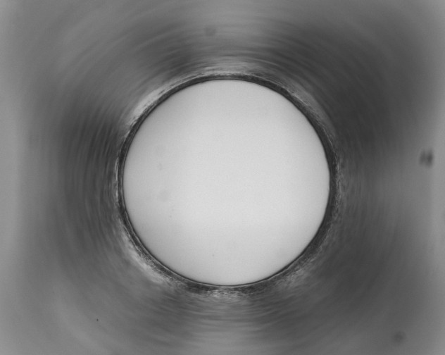 X0000115000842200911161535