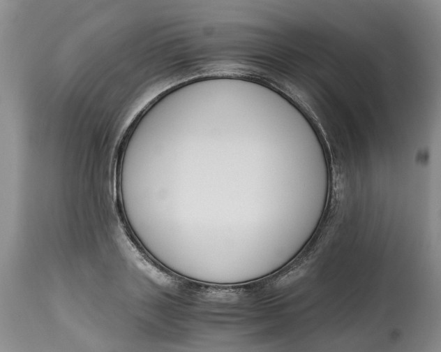 X0000115000843200911161535