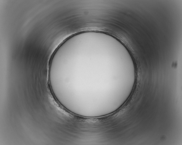 X0000115000844200911161535