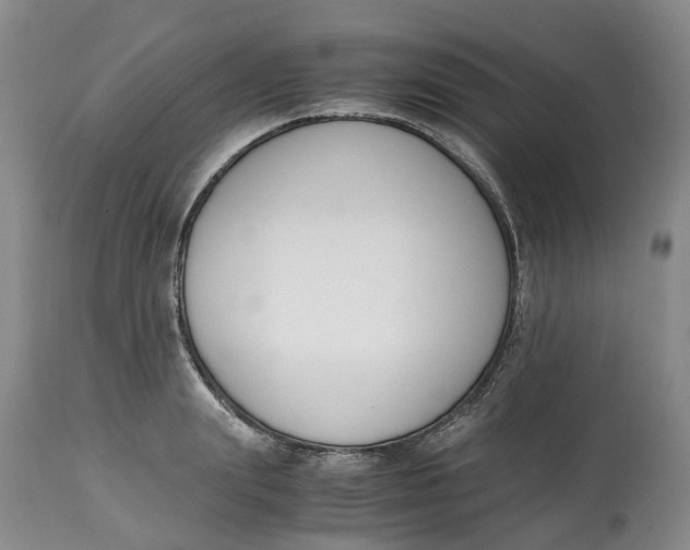 X0000115000847200911161535