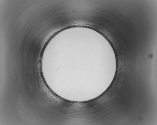 X0000115000848200911161535