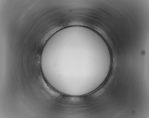 X0000115000849200911161535