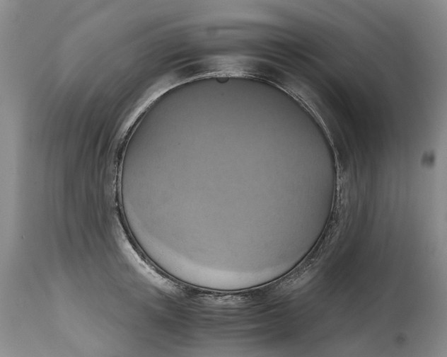 X0000115000851200911161535