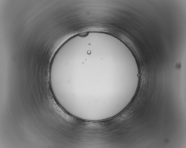 X0000115000852200911161535