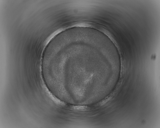 X0000115000853200911161535