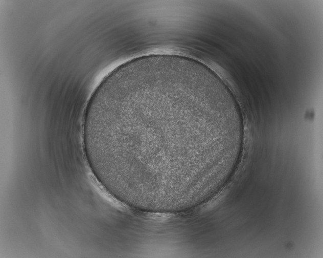 X0000115000854200911161535