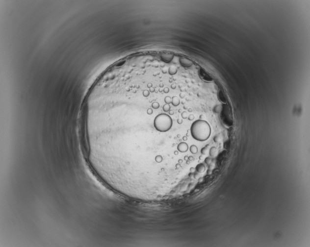 X0000115000855200911161535