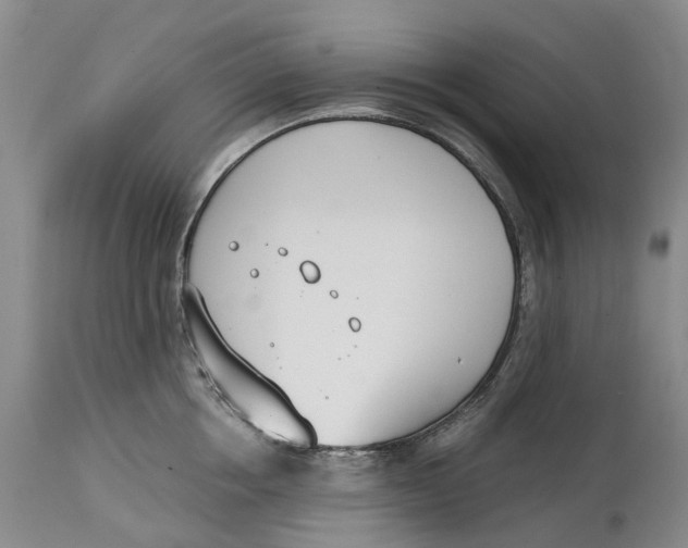 X0000115000858200911161535