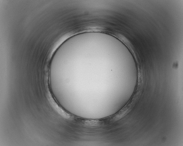 X0000115000859200911161535