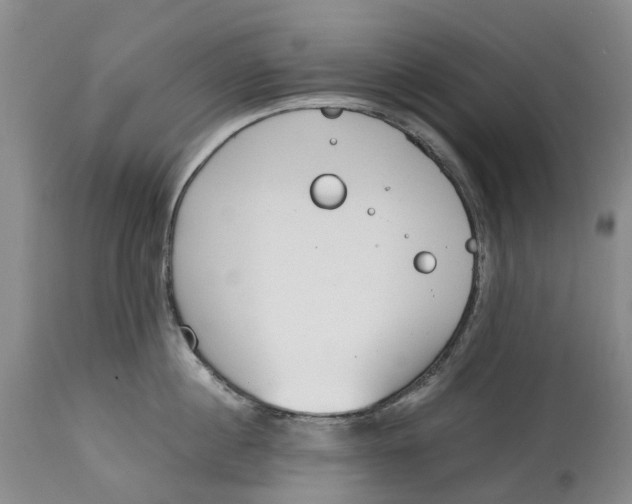 X0000115000860200911161535