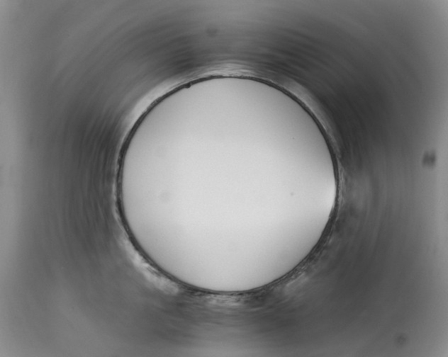 X0000115000861200911161535