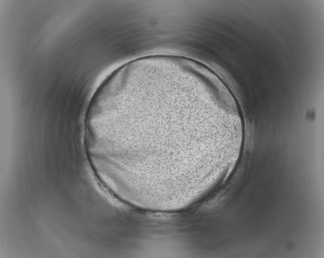 X0000115000862200911161535