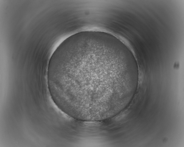 X0000115000863200911161535