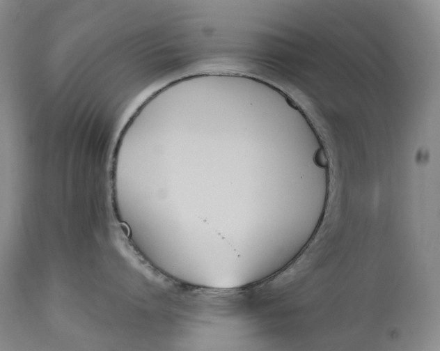 X0000115000864200911161535