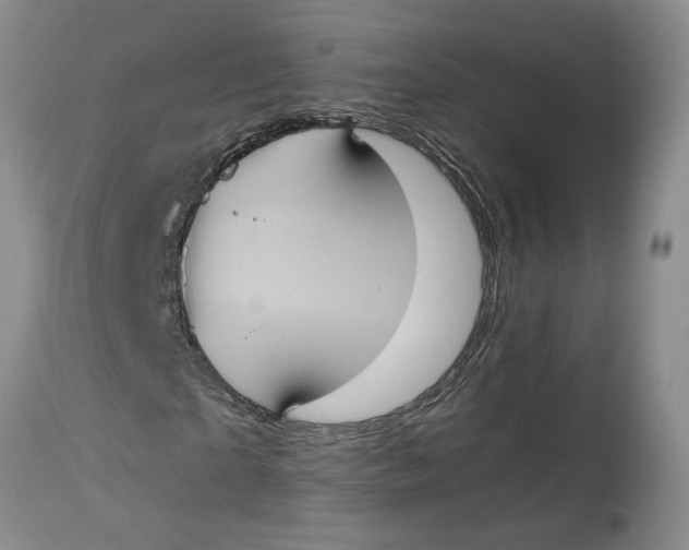 X0000115000865200911161534