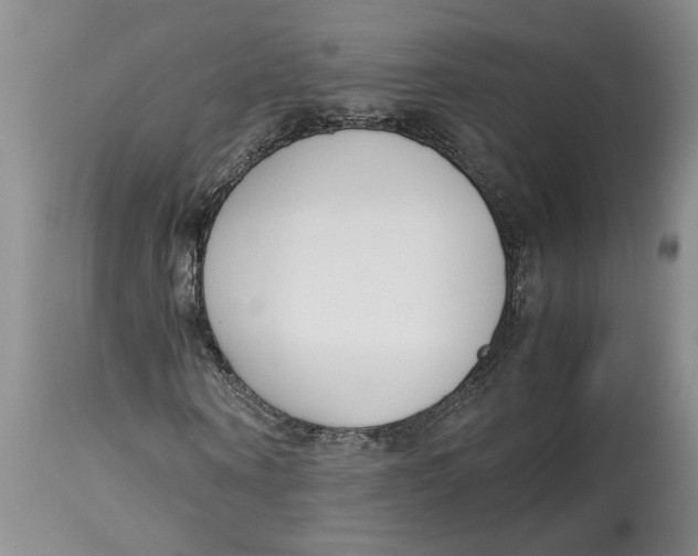 X0000115000866200911161534