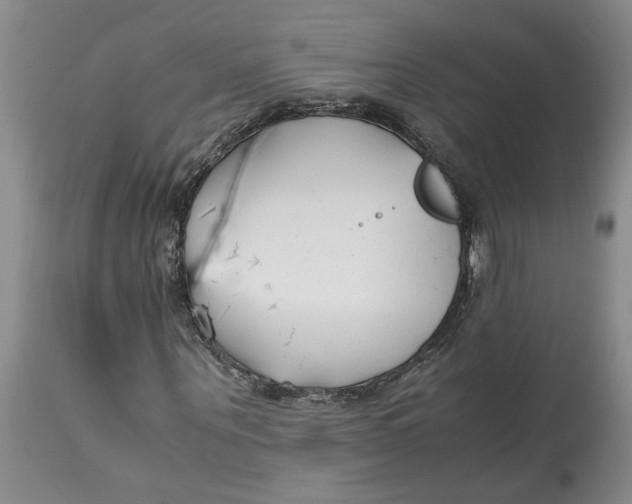 X0000115000867200911161534