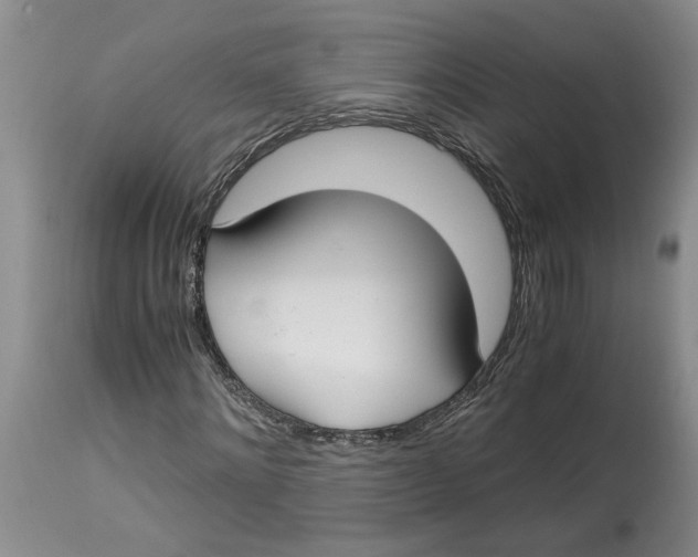 X0000115000868200911161534