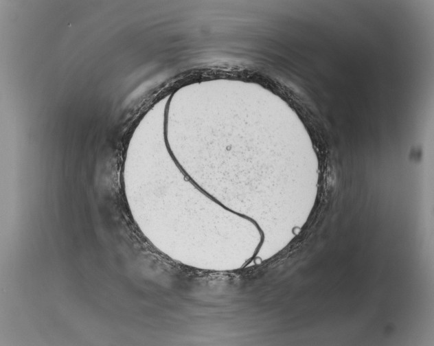 X0000115000869200911161534