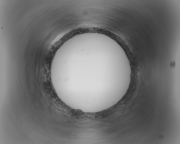 X0000115000871200911161534