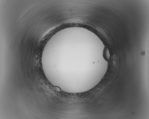 X0000115000872200911161534