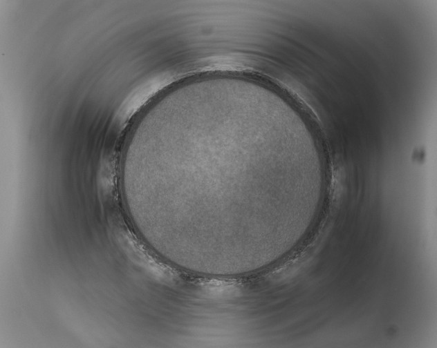 X0000115000874200911161534