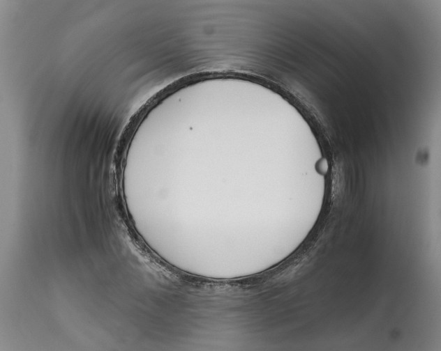 X0000115000876200911161534