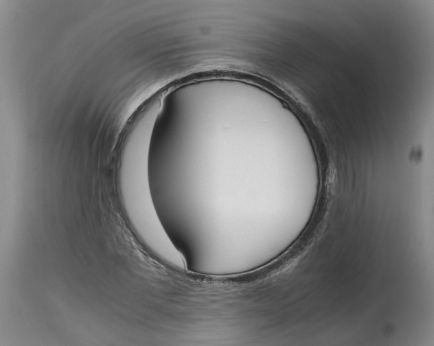 X0000115000877200911161534