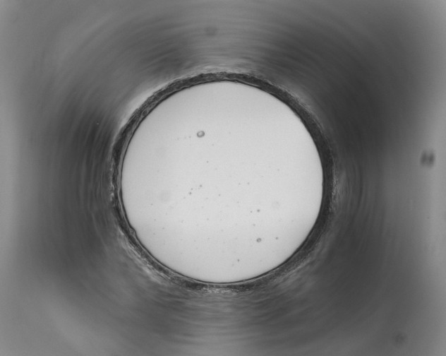 X0000115000878200911161534