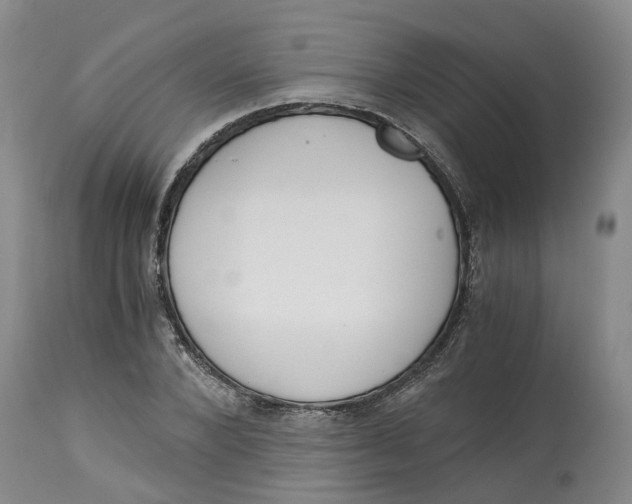 X0000115000880200911161534